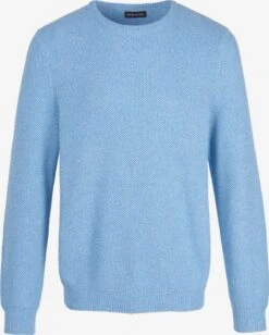 Crewneck Truien Trui Heren Lichtblauw