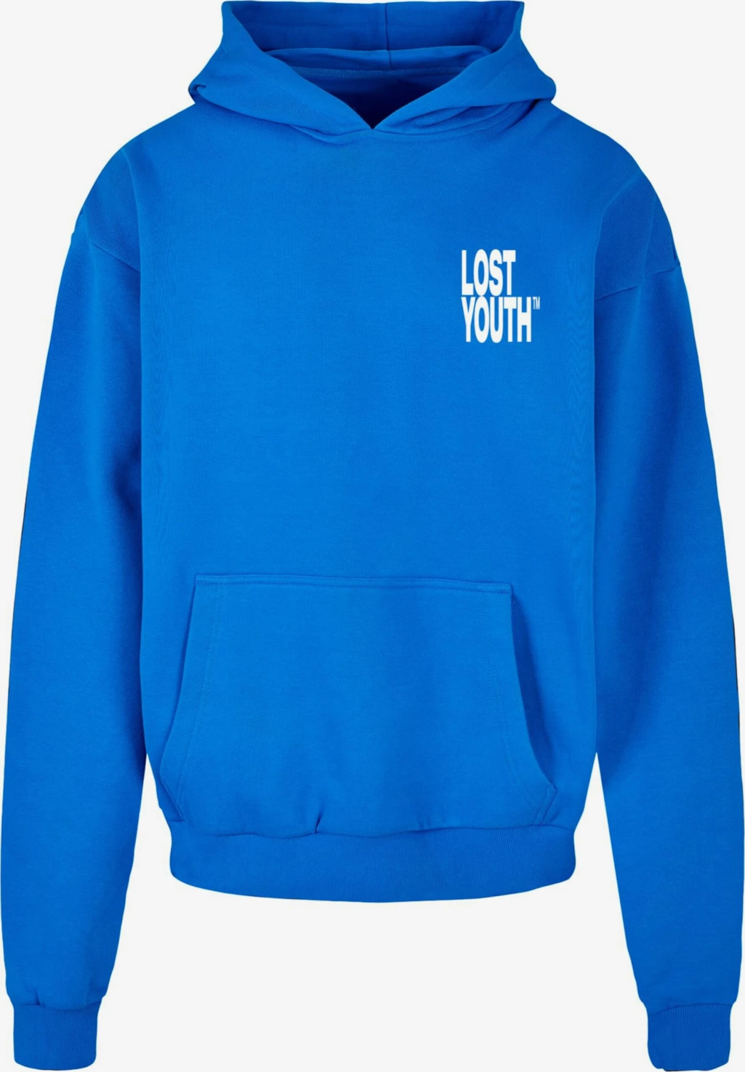 Hoodies Sweatshirt Heren Blauw 1 Hoodies Sweatshirt Heren Blauw