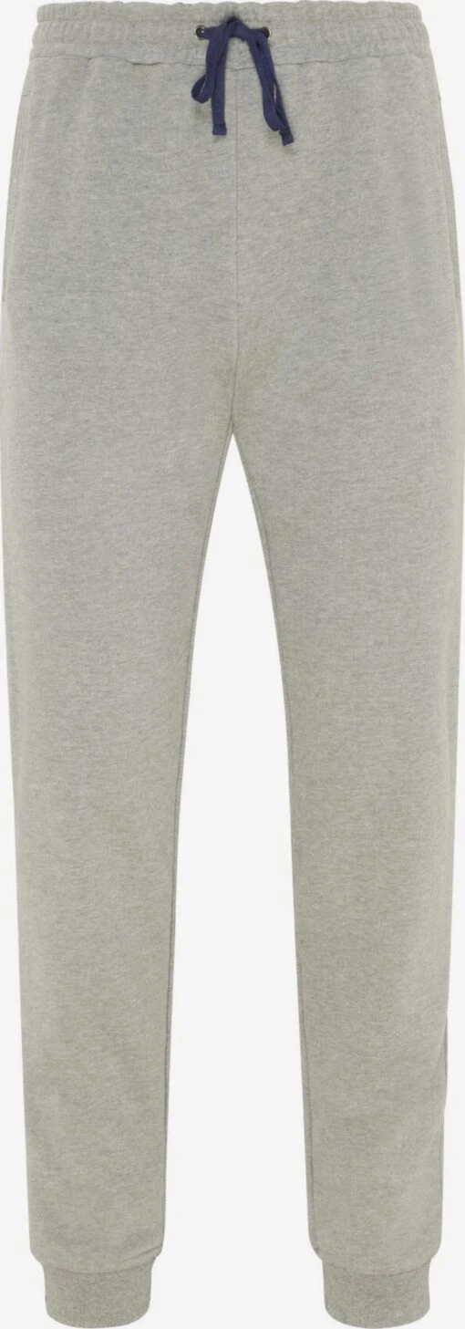 Sweatpants Tapered Broek Heren Lichtgrijs