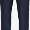 Pantalons Regular Broek Heren Marine