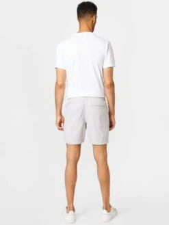 Hollister Shorts Regular Broek Heren Lichtgrijs -Herenkleding 4ba15446e14fc22527cb7e8cfd95f78e