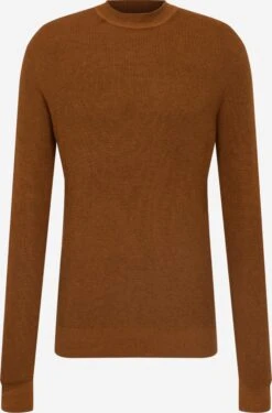 Tom Tailor Coltruien Trui Heren Kastanjebruin