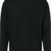 Longsleeves Shirt Heren Spar