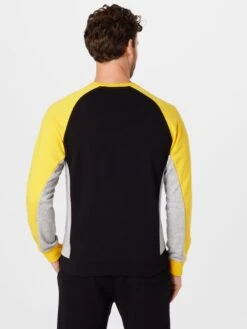 Sweatshirts Sweatshirt Heren Zwart -Herenkleding 64bed856c5a4b40ba87fd79147e04dca