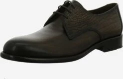 Lloyd Nette Schoenen Veterschoen Heren Bruin