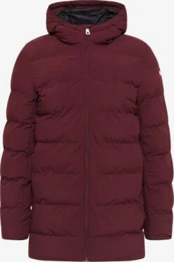 Wintermantels Winterjas Heren Bordeaux
