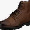 Geox Boots & Laarzen Veterboots Andalo Heren Bruin