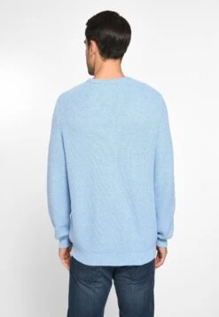 Crewneck Truien Trui Heren Lichtblauw 8 Crewneck Truien Trui Heren Lichtblauw -Herenkleding 9833572caf40f93ce72fce98d7963932