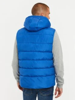 Threadbare Bodywarmers Bodywarmer Ritcher Heren Royal Blue/koningsblauw -Herenkleding 9cabcfb7584993184341e85ce2fe82b4