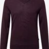 V-hals Truien Trui Melba Heren Bourgogne