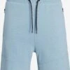 Jack & Jones Sweat Shorts Regular Broek Stair Heren Lichtblauw