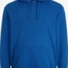 Hoodies Sweatshirt Heren Royal Blue/koningsblauw