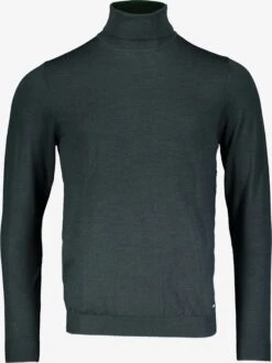 ROY ROBSON Coltruien Trui Heren Groen
