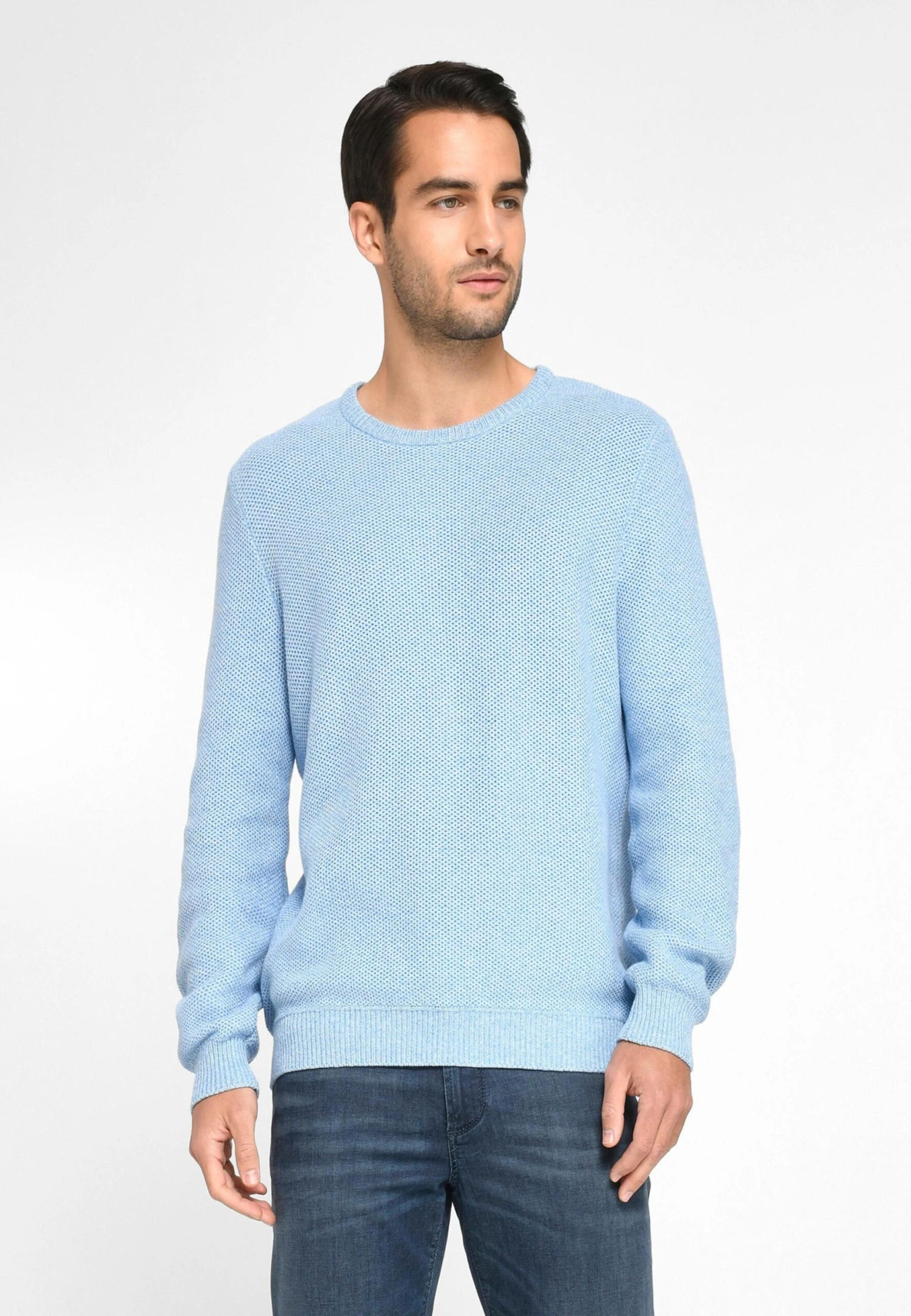 Crewneck Truien Trui Heren Lichtblauw 2 Crewneck Truien Trui Heren Lichtblauw - Afbeelding 2