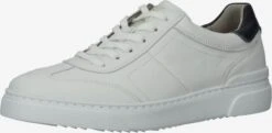 Pius Gabor Casual Sneakers Sneakers Laag Heren Offwhite