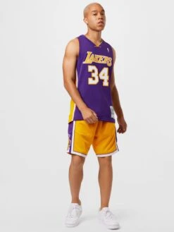 Mitchell & Ness Tanktops Shirt LA LAKERS - NBA SWINGMAN Heren Donkerlila 9 Mitchell & Ness Tanktops Shirt LA LAKERS - NBA SWINGMAN Heren Donkerlila -Herenkleding cef44c0d25d6ecebd9414f41a8b47296