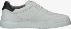 Pius Gabor Casual Sneakers Sneakers Laag Heren Offwhite -Herenkleding daba1539993163812953b5e82406e620