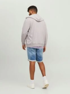 Sweatvesten Met Capuchon Sweatvest Heren Sering -Herenkleding e19b42aec8b73d0fe2da177e6ee120de