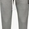 Sweatpants Tapered Broek Heren Grijs