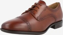 Nette Schoenen Veterschoen Colby Heren Bruin